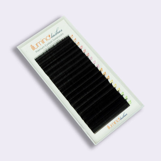 Essential Collection | LC Curl Lashes | Mixed Lengths